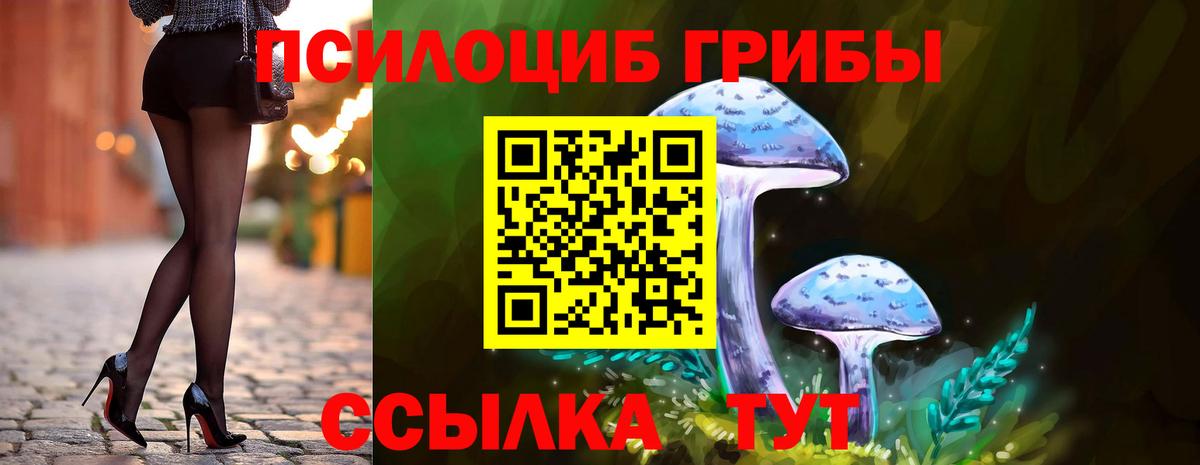 Галлюциногенные грибы GOLDEN TEACHER Дзержинский